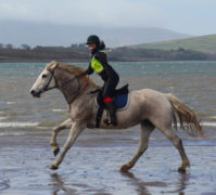 Dingle Horse Riding with Susan Callery